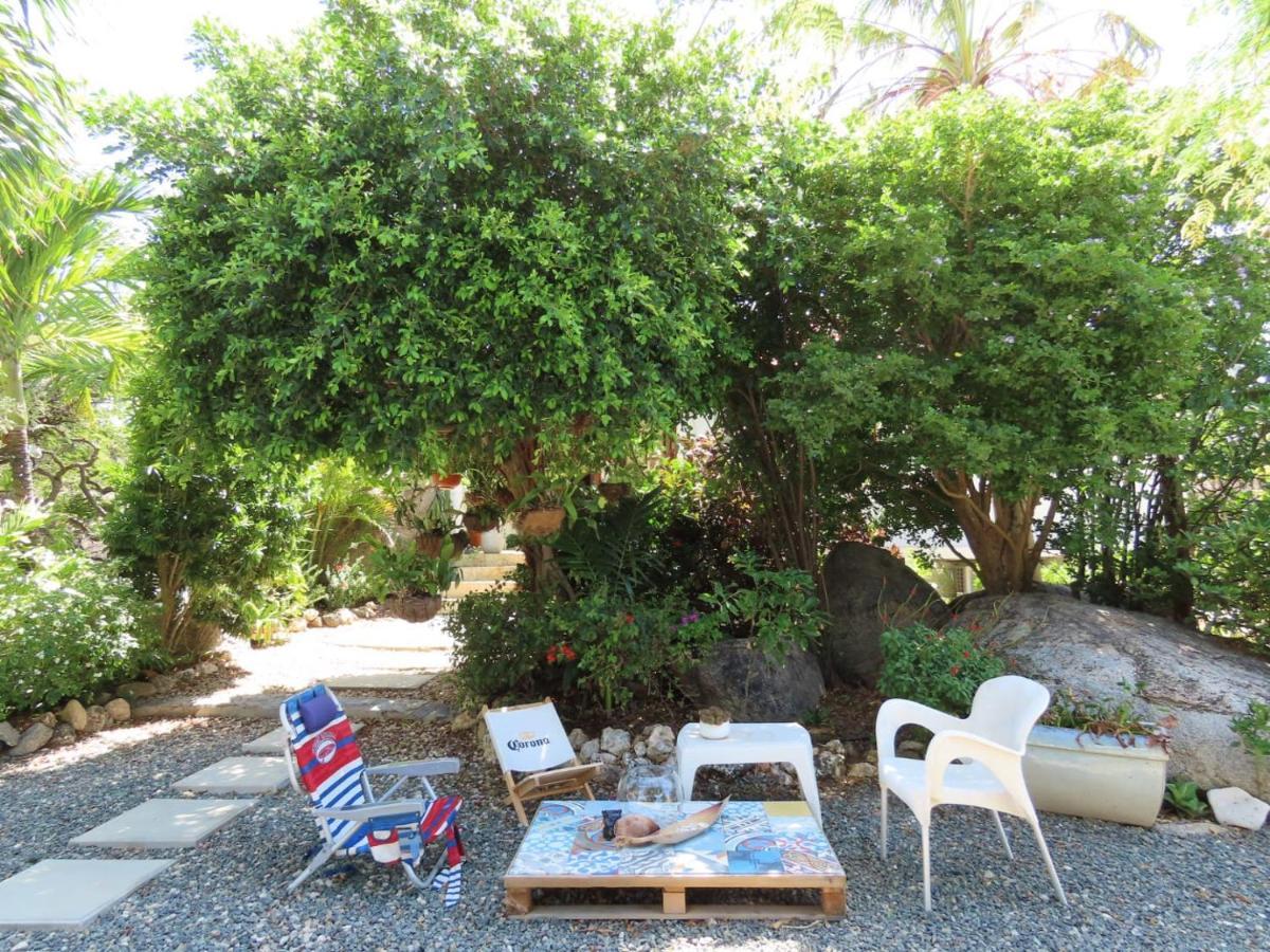 Naima Luxury Home, Cottage & Apartment Rentals Paradera Εξωτερικό φωτογραφία