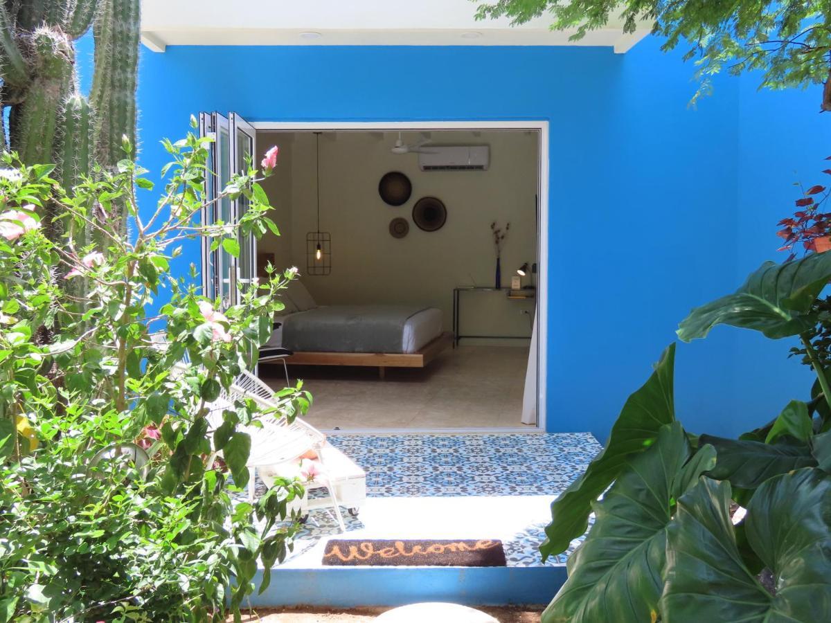 Naima Luxury Home, Cottage & Apartment Rentals Paradera Εξωτερικό φωτογραφία