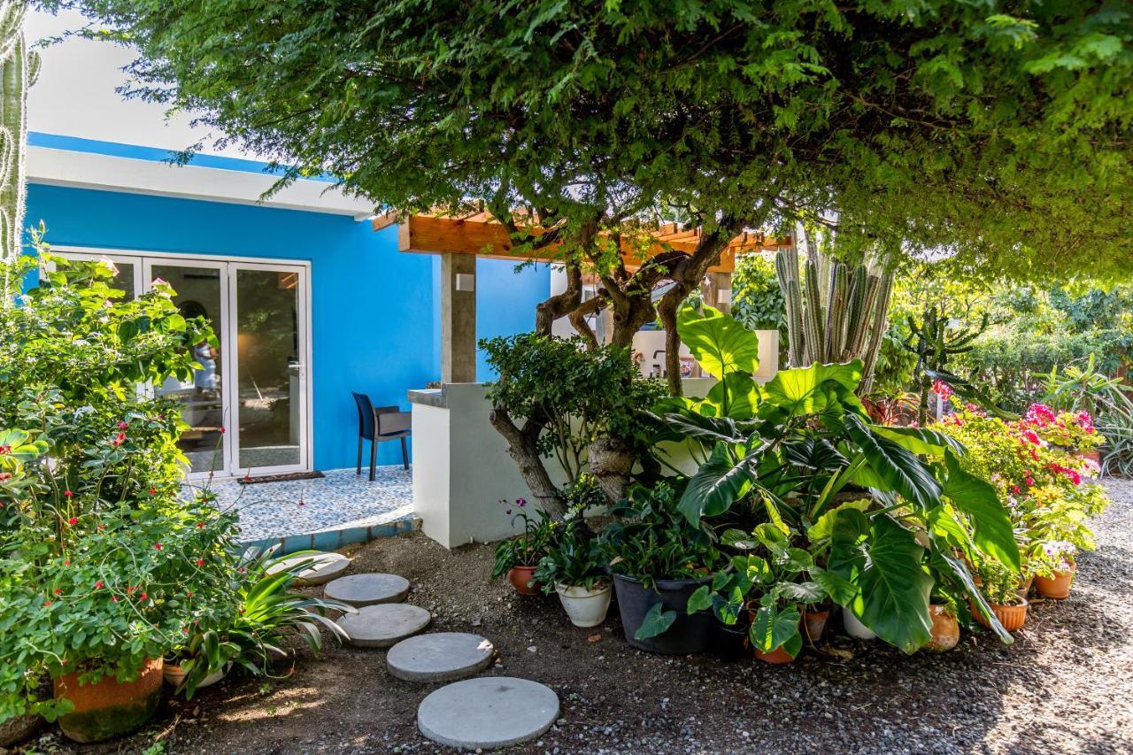 Naima Luxury Home, Cottage & Apartment Rentals Paradera Εξωτερικό φωτογραφία